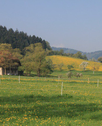 Blick aus dem Bro am 05.05.2013